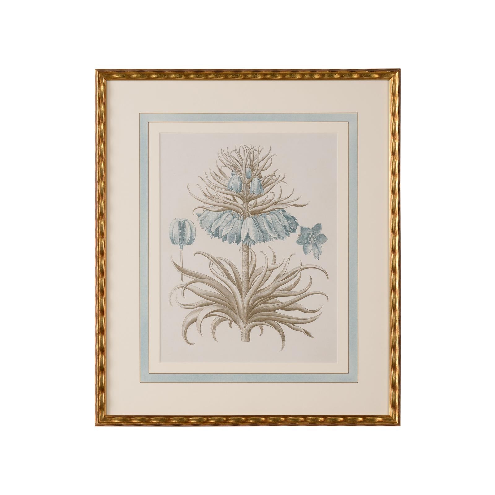 Chelsea House Besler Botanicals Frame, Willow Blue