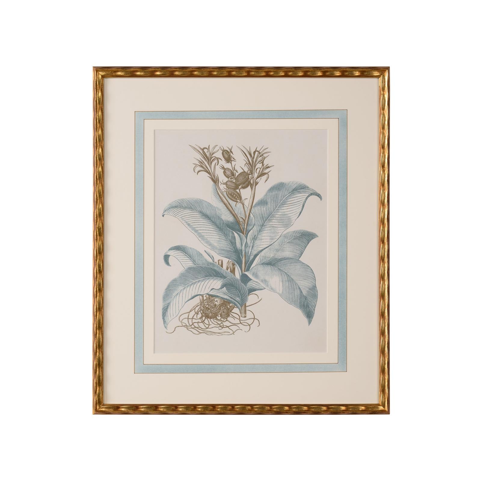 Chelsea House Besler Botanicals Frame, Willow Blue