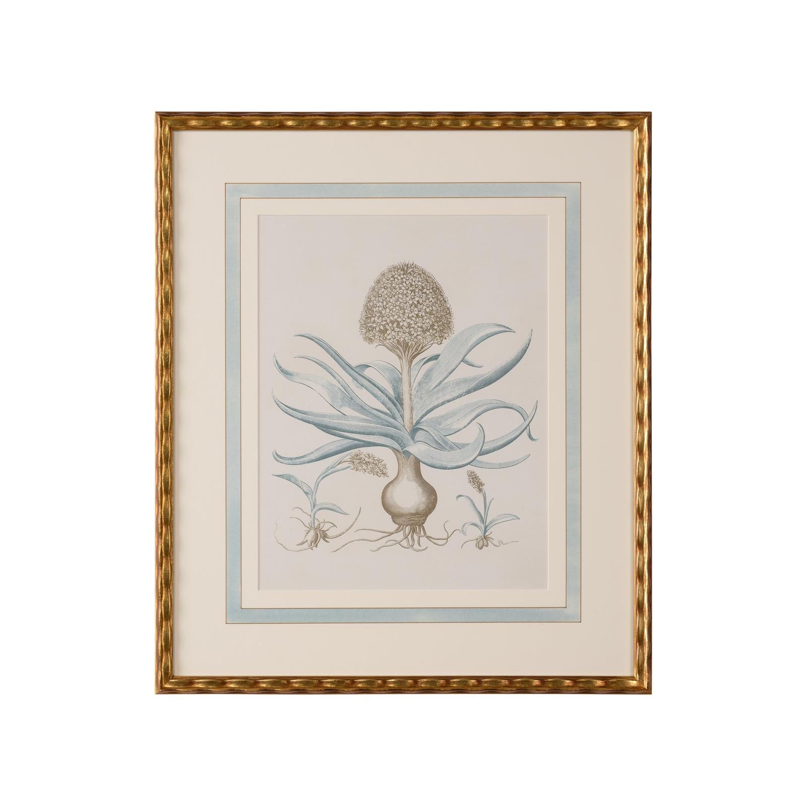 Chelsea House Besler Botanicals Frame, Willow Blue