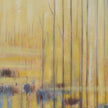 Wildwood Spring Lake Frame