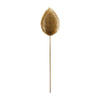 Arteriors Myrtle Sconce