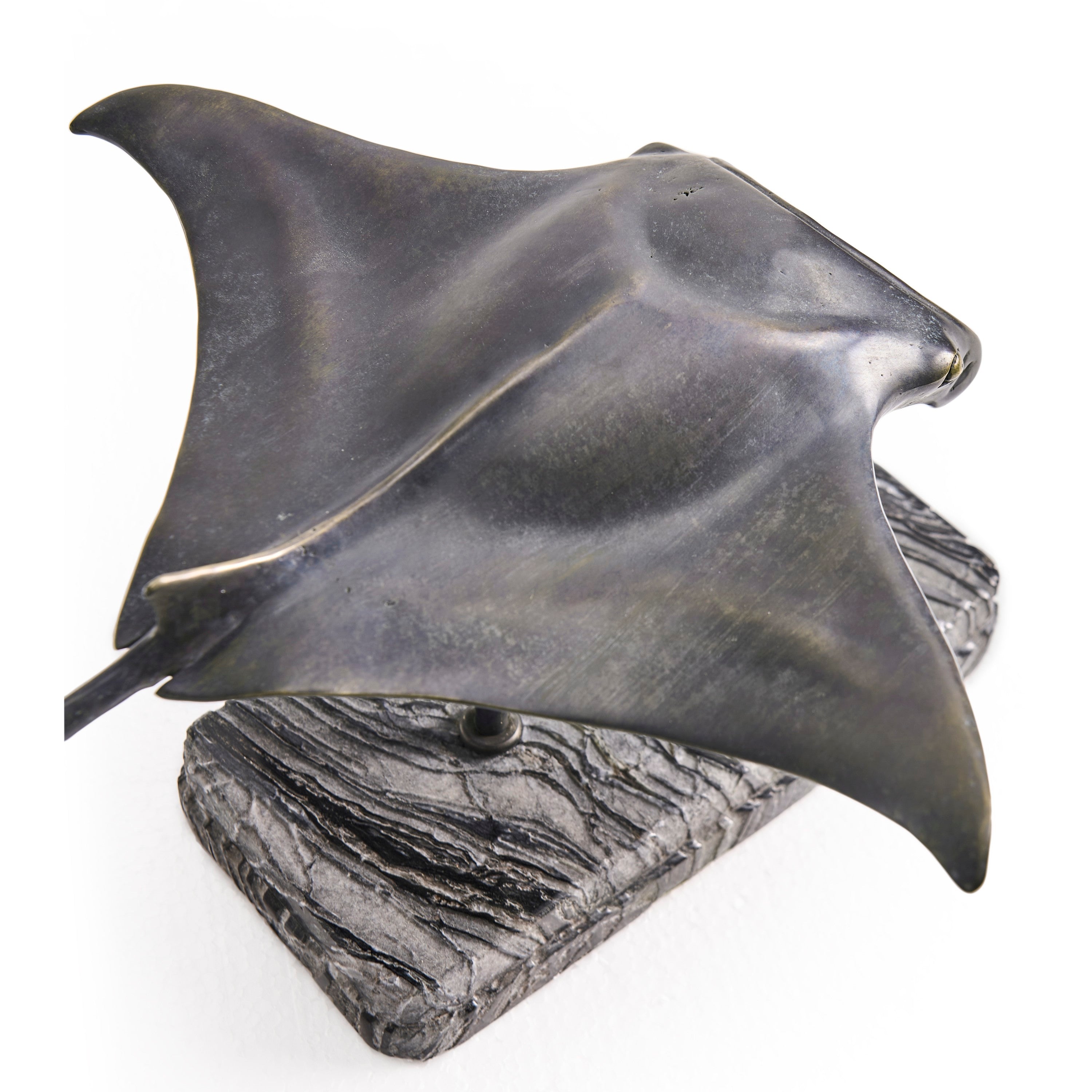 Jonathan Charles Manta Ray Bronze Statue