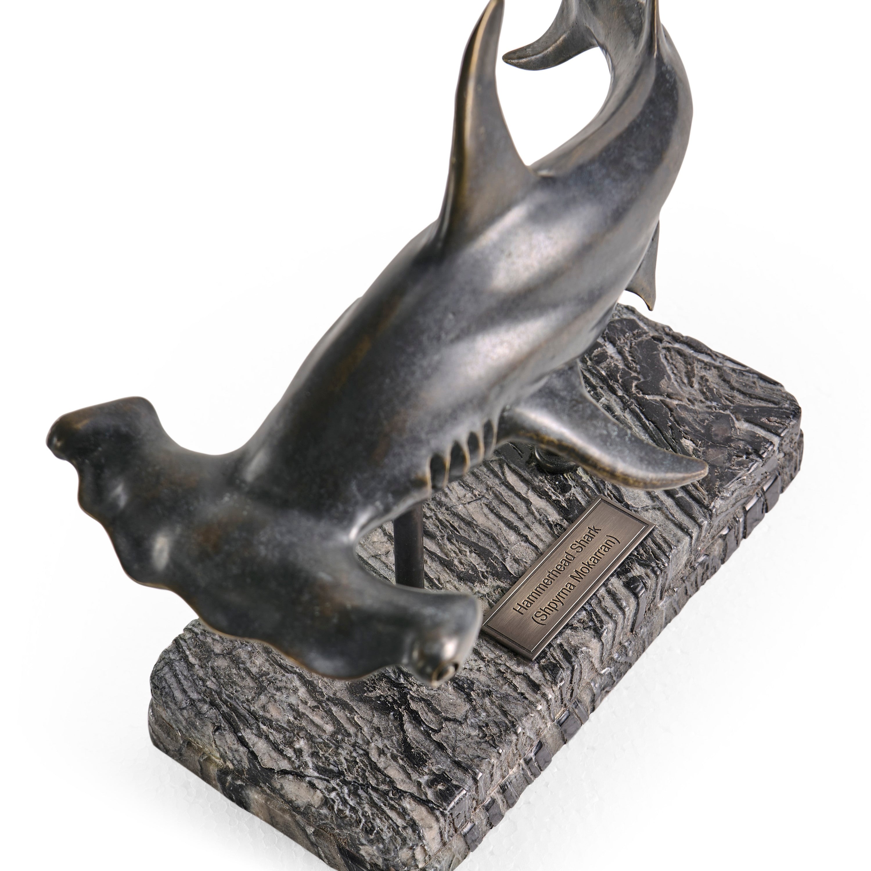 Jonathan Charles Hammerhead Shark C Shape Bronze Statue