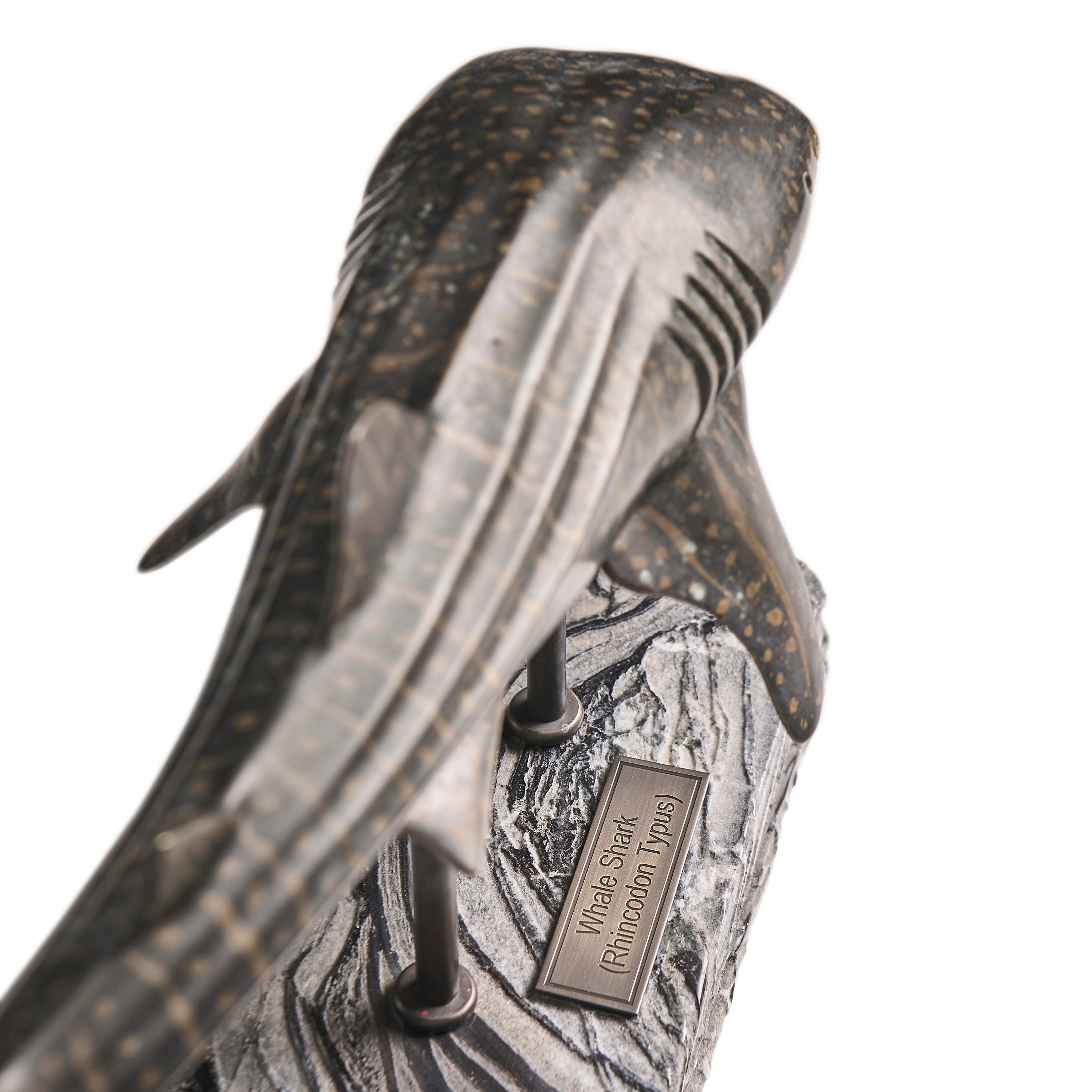 Jonathan Charles Whale Shark Bronze Statue