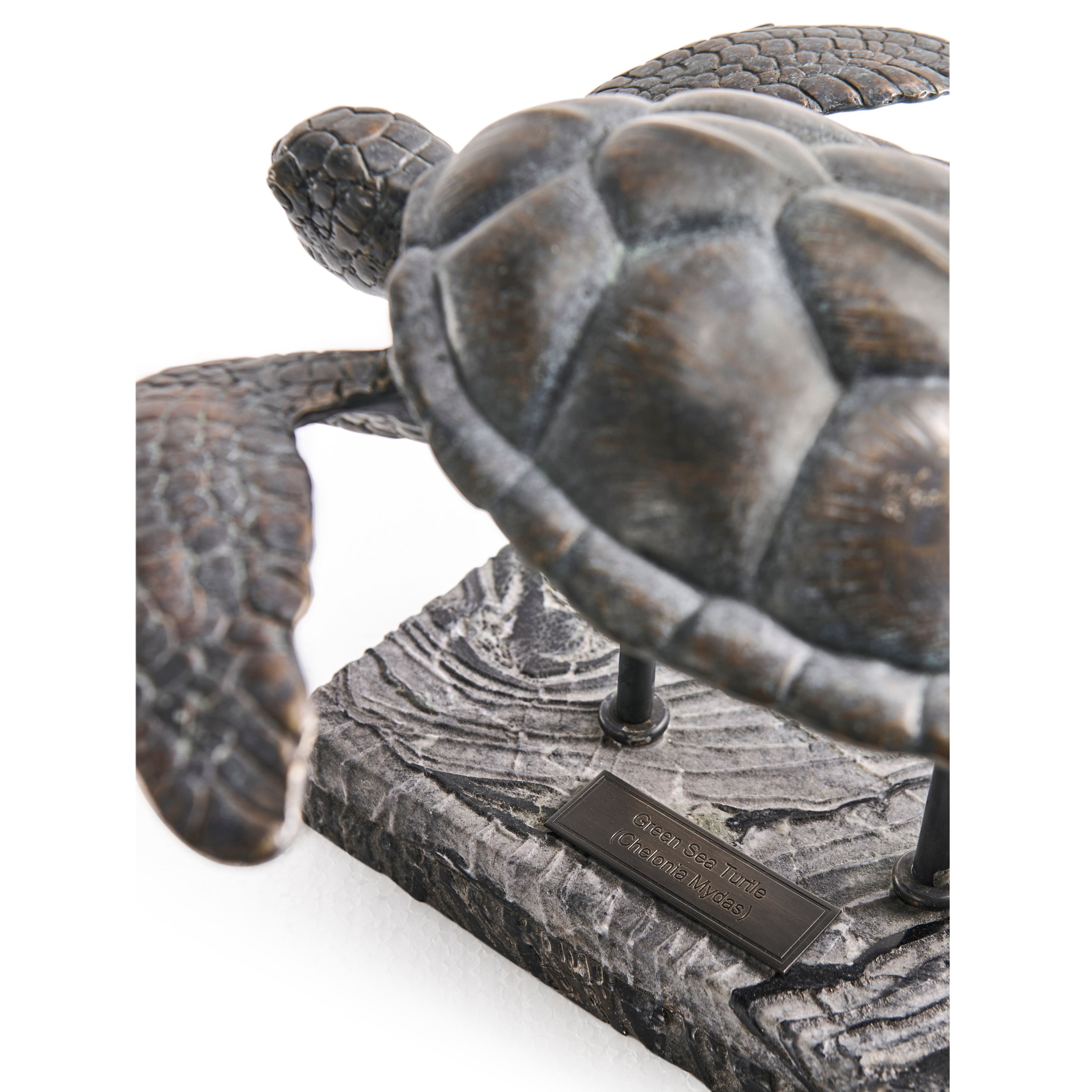 Jonathan Charles Sea Tortoise Bronze Statue