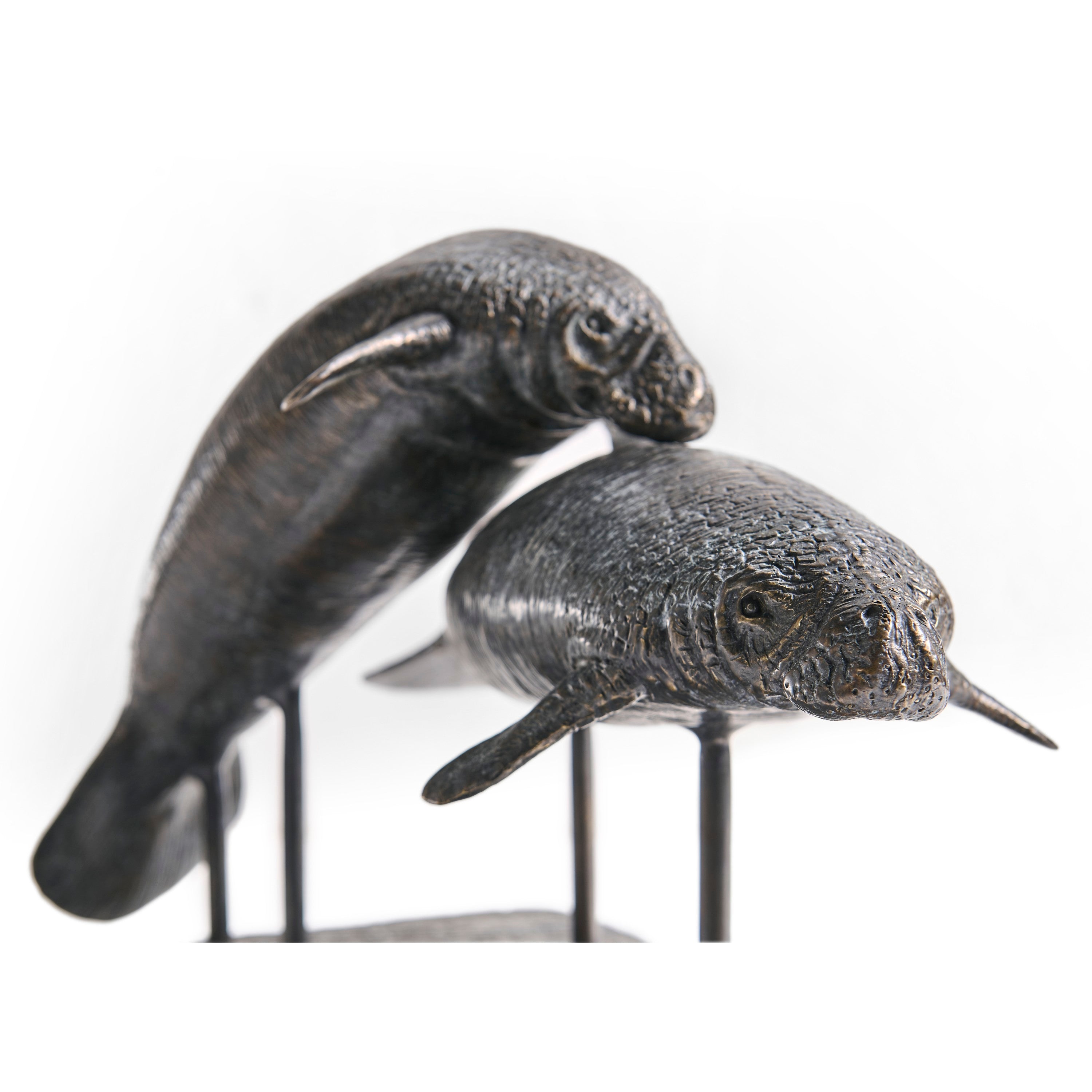 Jonathan Charles Raised Manatee Bronze Statue