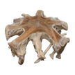 Classic Home Cypress Teak Root Coffee Table Natural White Wash