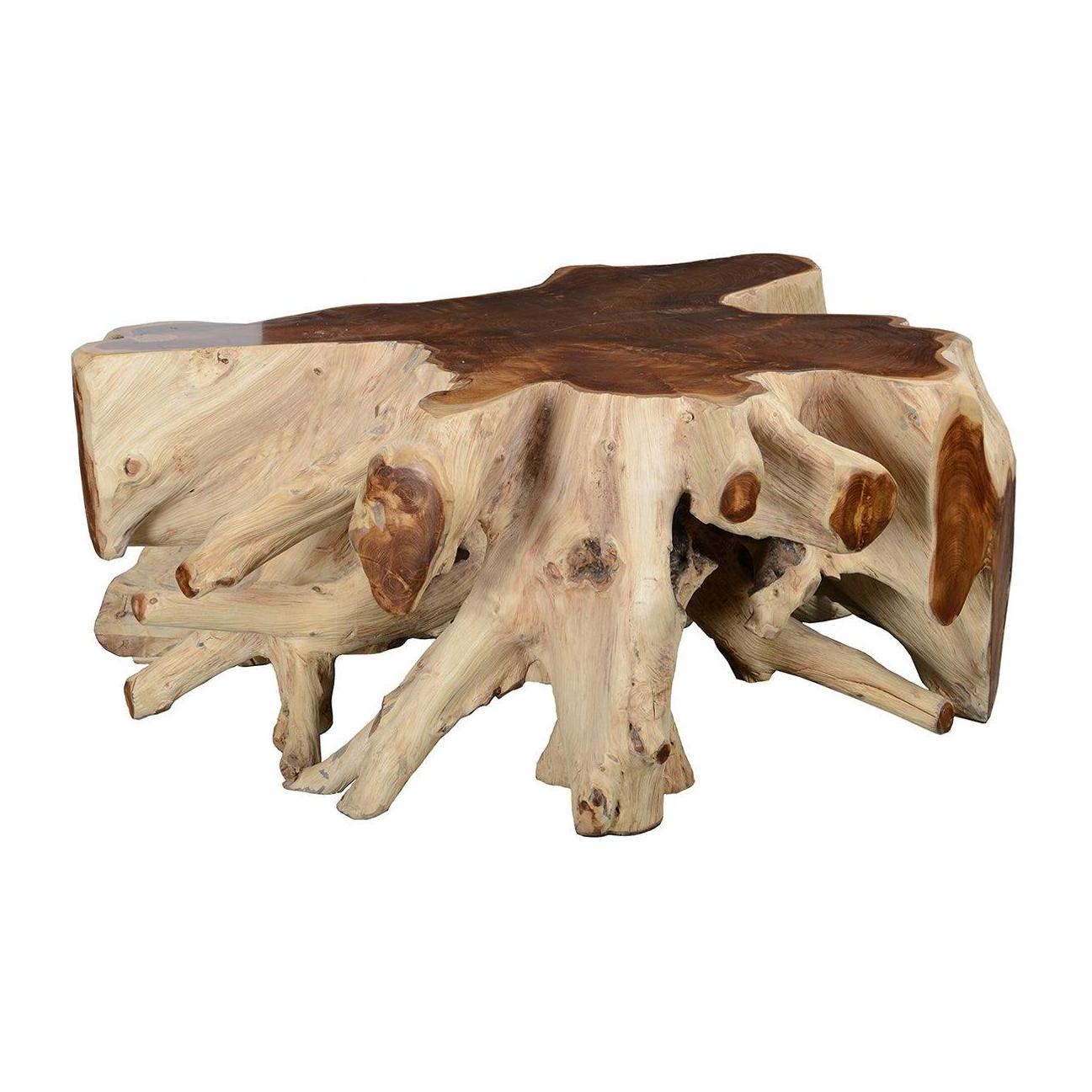 Classic Home Groot Teak Root Coffee Table