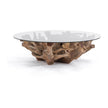 Classic Home Willow Teak Root/Glass Round Coffee Table