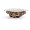 Classic Home Willow Teak Root/Glass Round Coffee Table