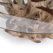 Classic Home Willow Teak Root/Glass Round Coffee Table