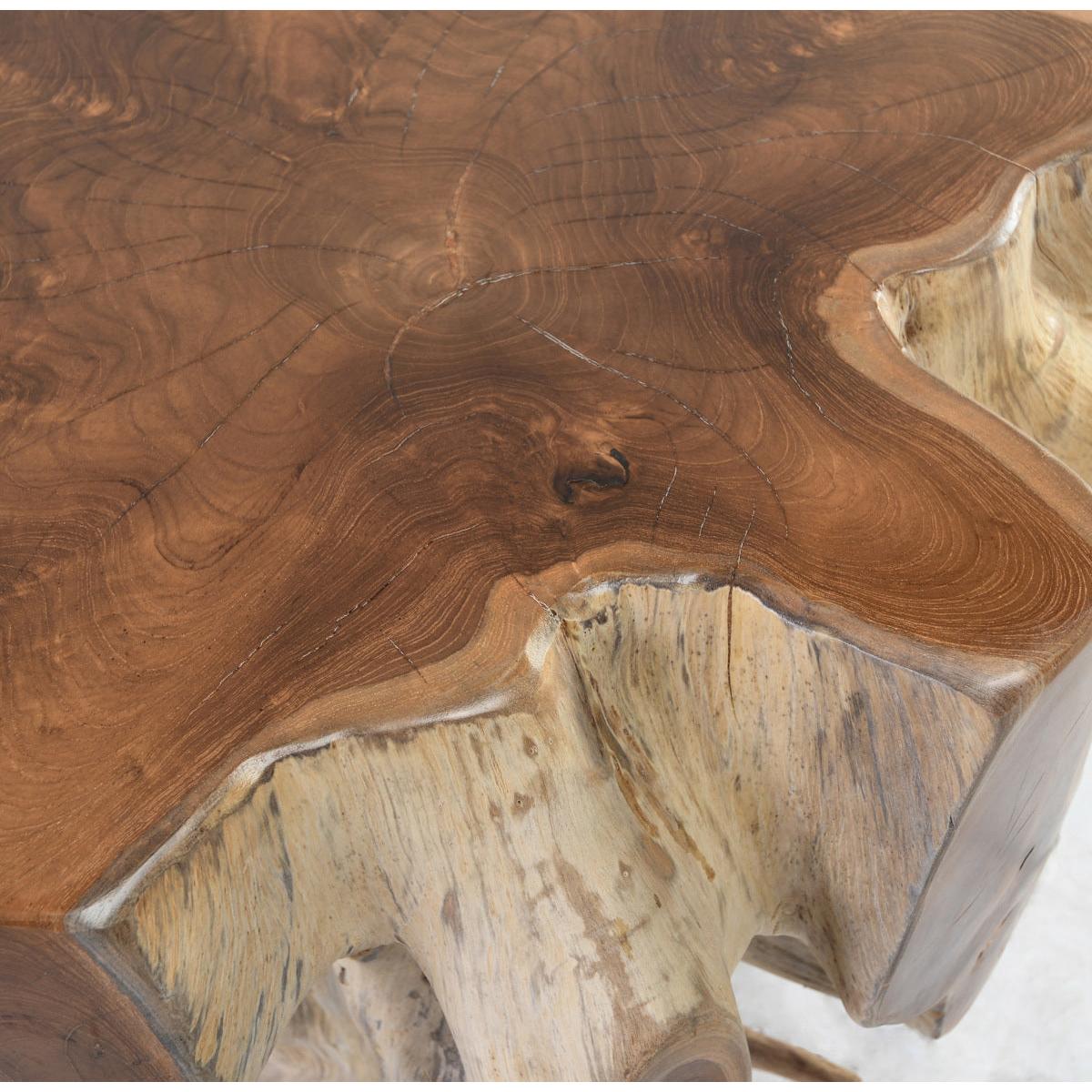 Classic Home Groot Teak Root End Table