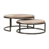 Classic Home Hayword Hide Nesting Coffee Tables - Set of 2