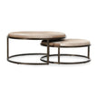 Classic Home Hayword Hide Nesting Coffee Tables - Set of 2