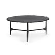 Classic Home Luka Coffee Table