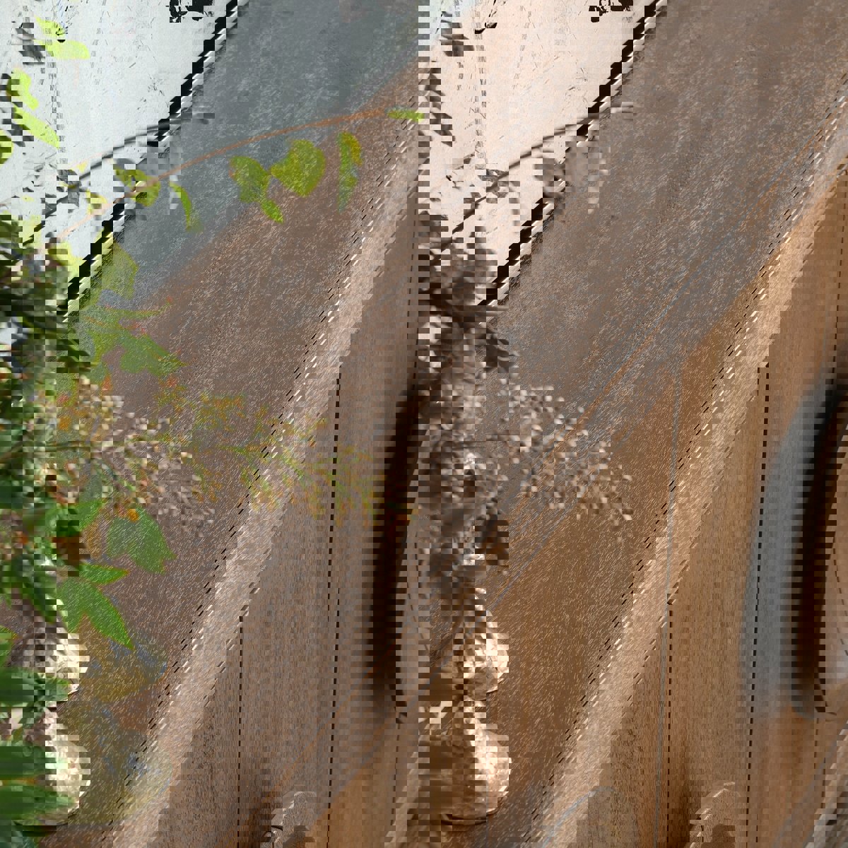 Classic Home Vally Solid Wood 6 Door Buffet