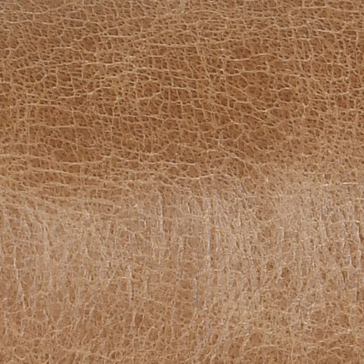 Classic Home Bose Leather Counter Stool