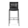 Classic Home Mayer Leather Bar Stool