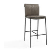 Classic Home Mayer Leather Bar Stool