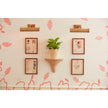 Chelsea House Cane Picture Light Sconce