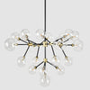 Classic Home Phoenix Chandelier