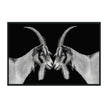 Classic Home Goat Photography 48x72