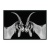 Classic Home Goat Photography 48x72
