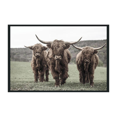 Classic Home Highland Photography 48x72