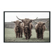 Classic Home Highland Photography 48x72