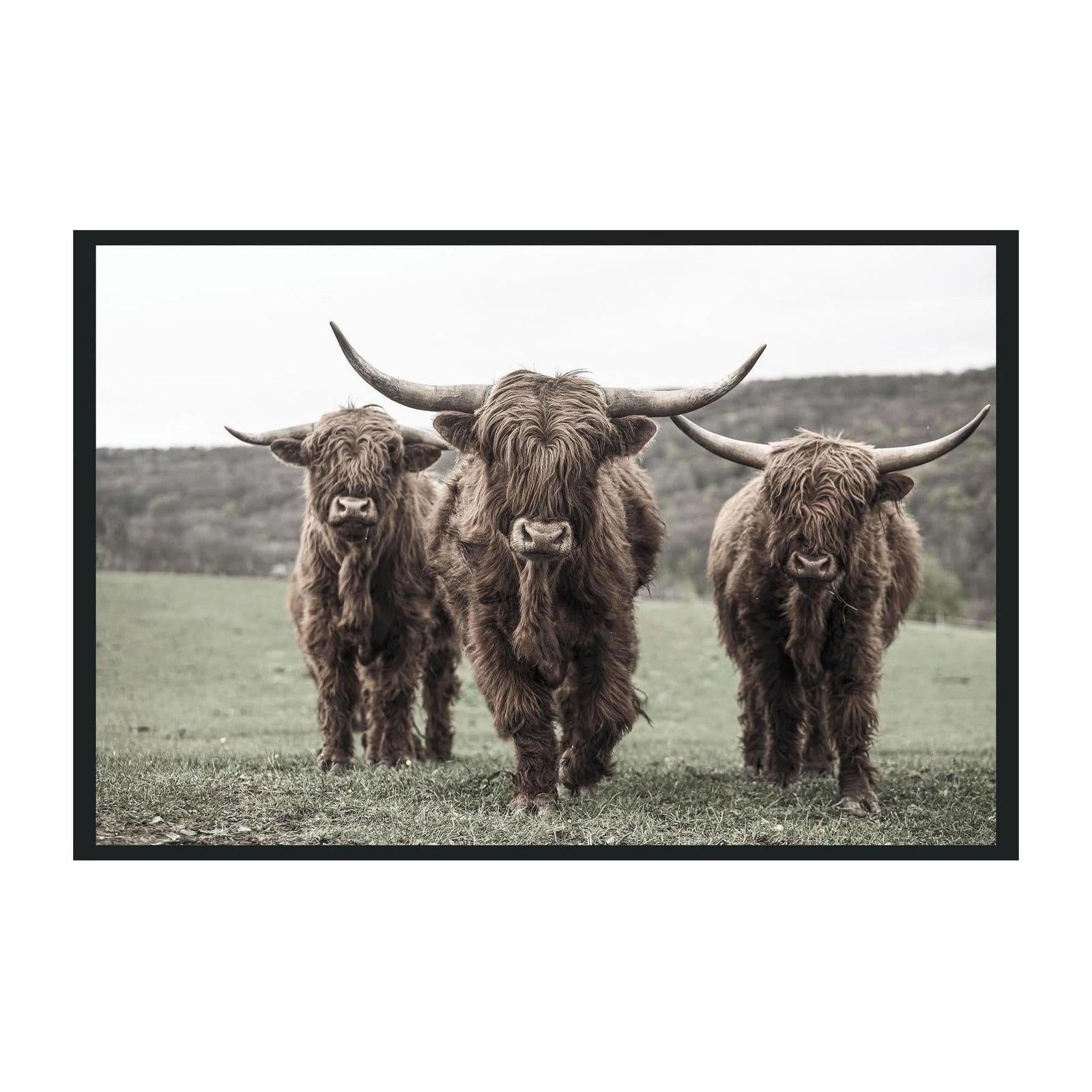 Classic Home Highland Photography 48x72