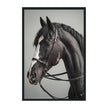 Classic Home Horse Photography 48x72