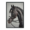 Classic Home Horse Photography 48x72
