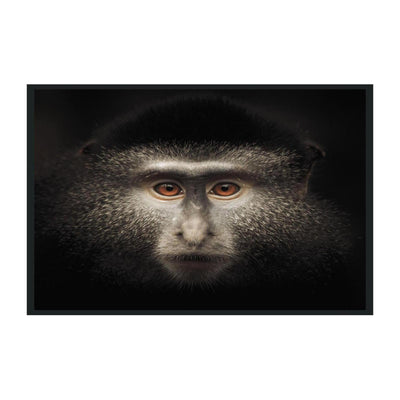 Classic Home Monkey Photography 48x72