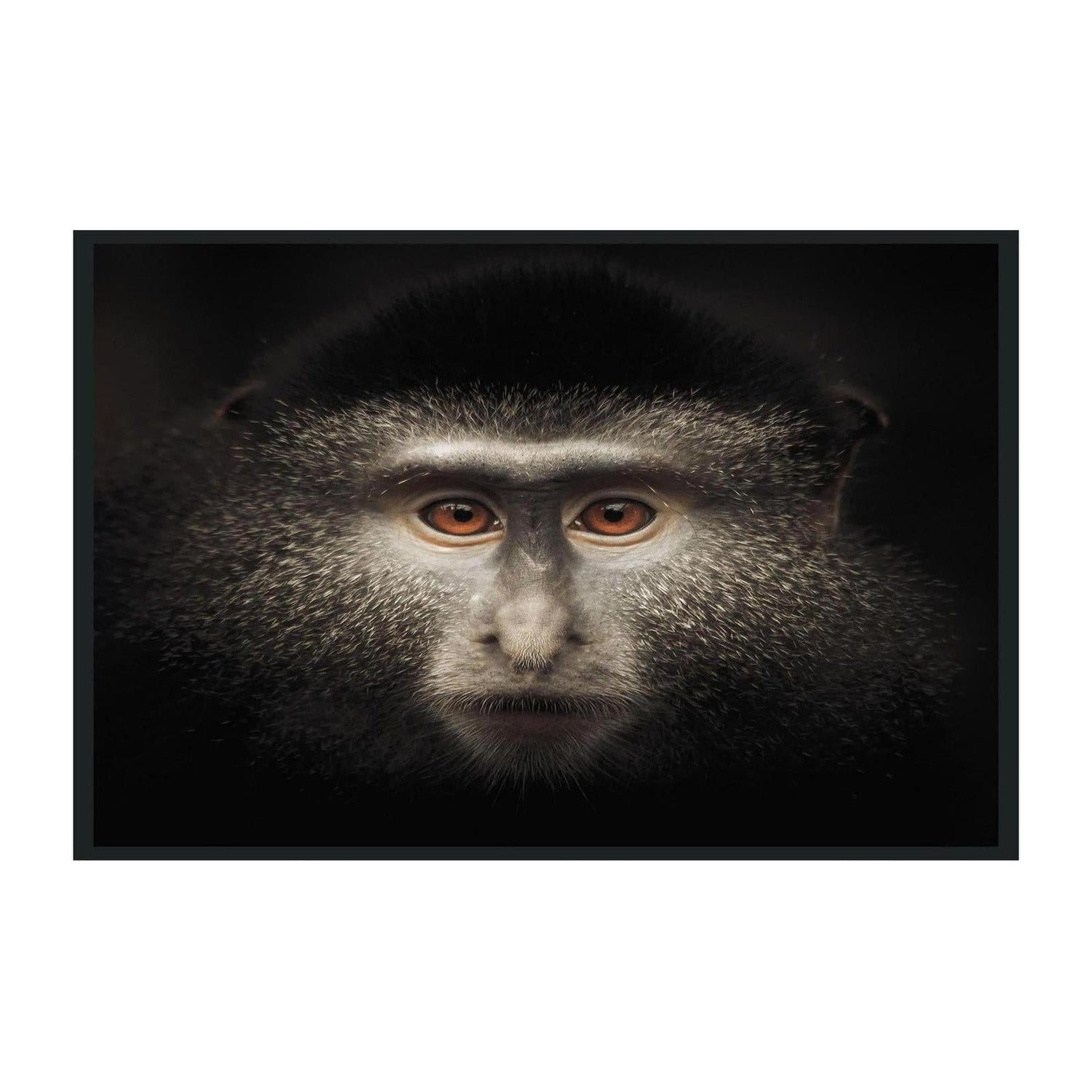 Classic Home Monkey Photography 48x72