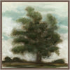 Classic Home Tree Painting 36x36 by Buddy Whitlock