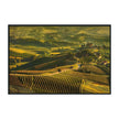 Classic Home Vinyard Photography 48x72