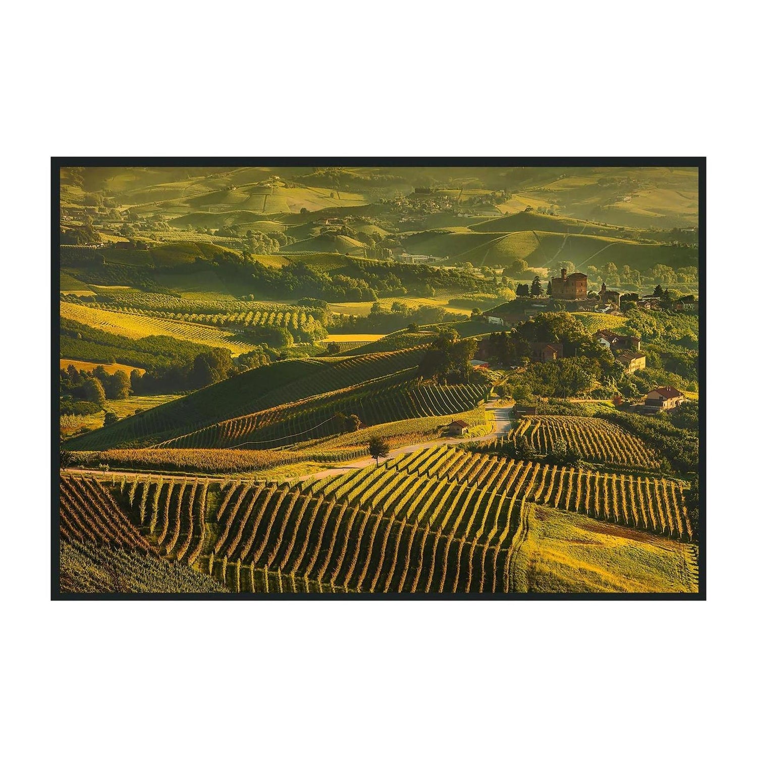 Classic Home Vinyard Photography 48x72