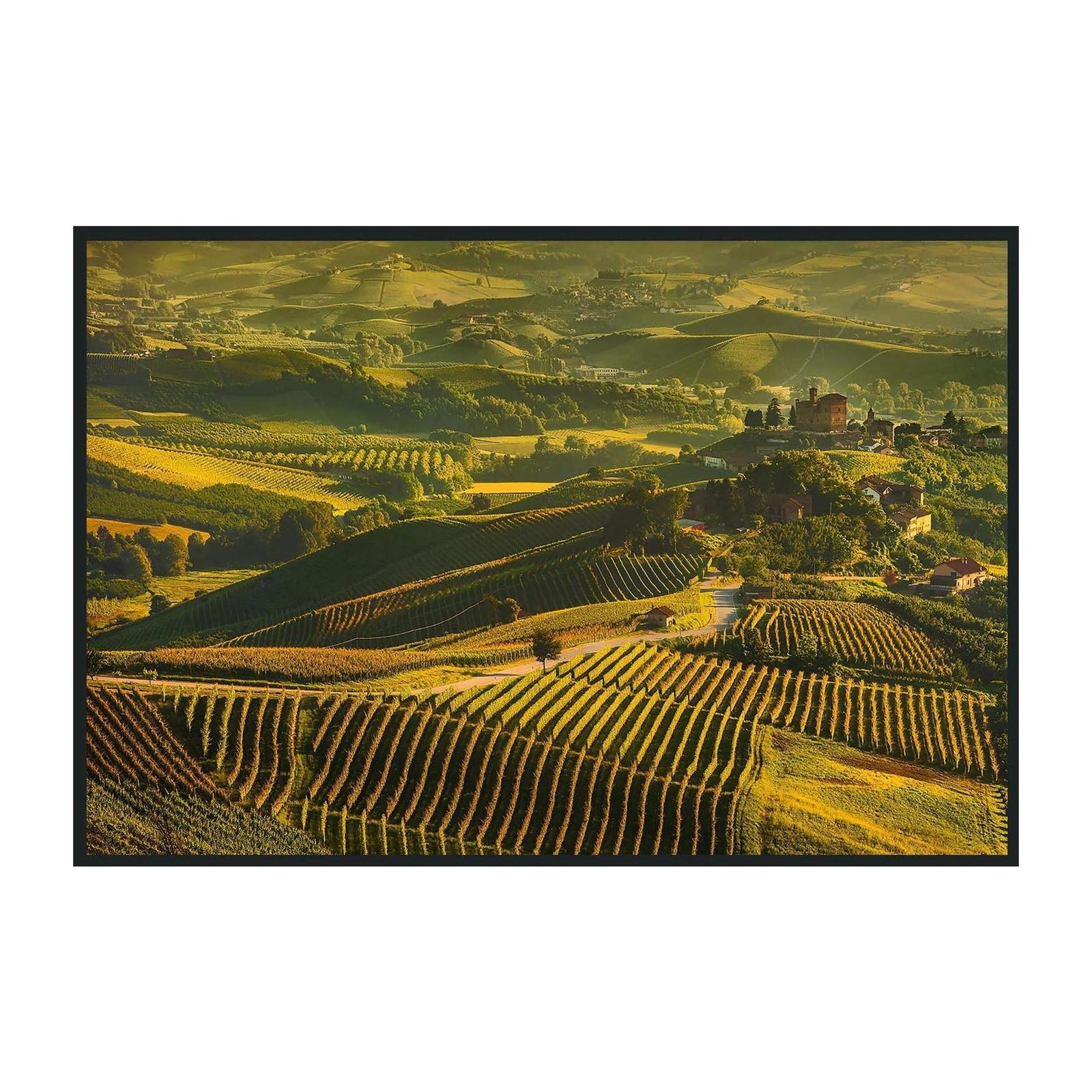 Classic Home Vinyard Photography 48x72