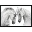 Classic Home White Horses Photography