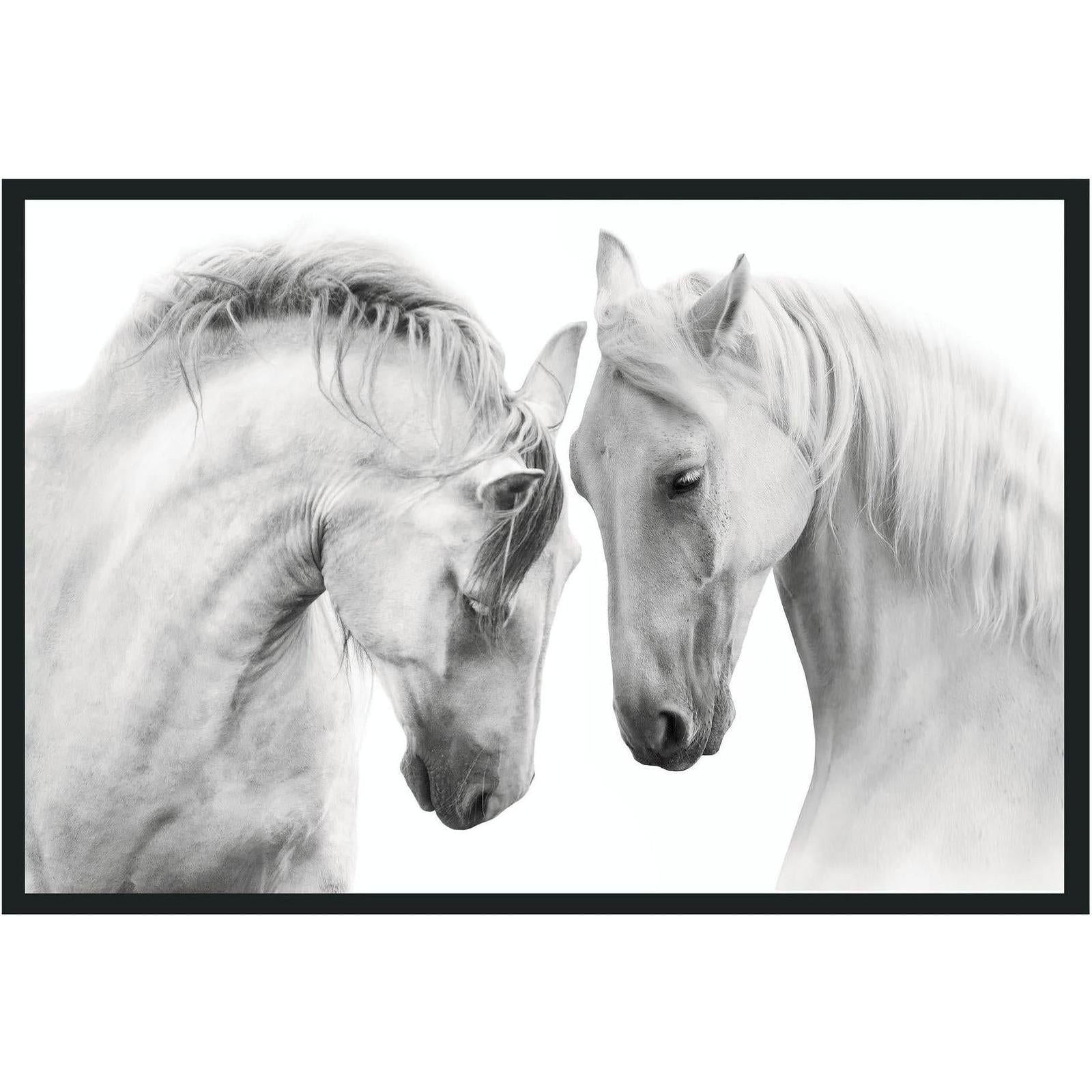 Classic Home White Horses Photography