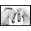 Classic Home White Horses Photography