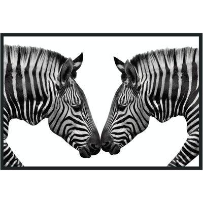 Classic Home Zebras Photography 48x72