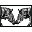 Classic Home Zebras Photography 48x72