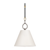 Hudson Valley Lighting Altamont 1 Light 12.25 inch Distressed Bronze Pendant Ceiling Light