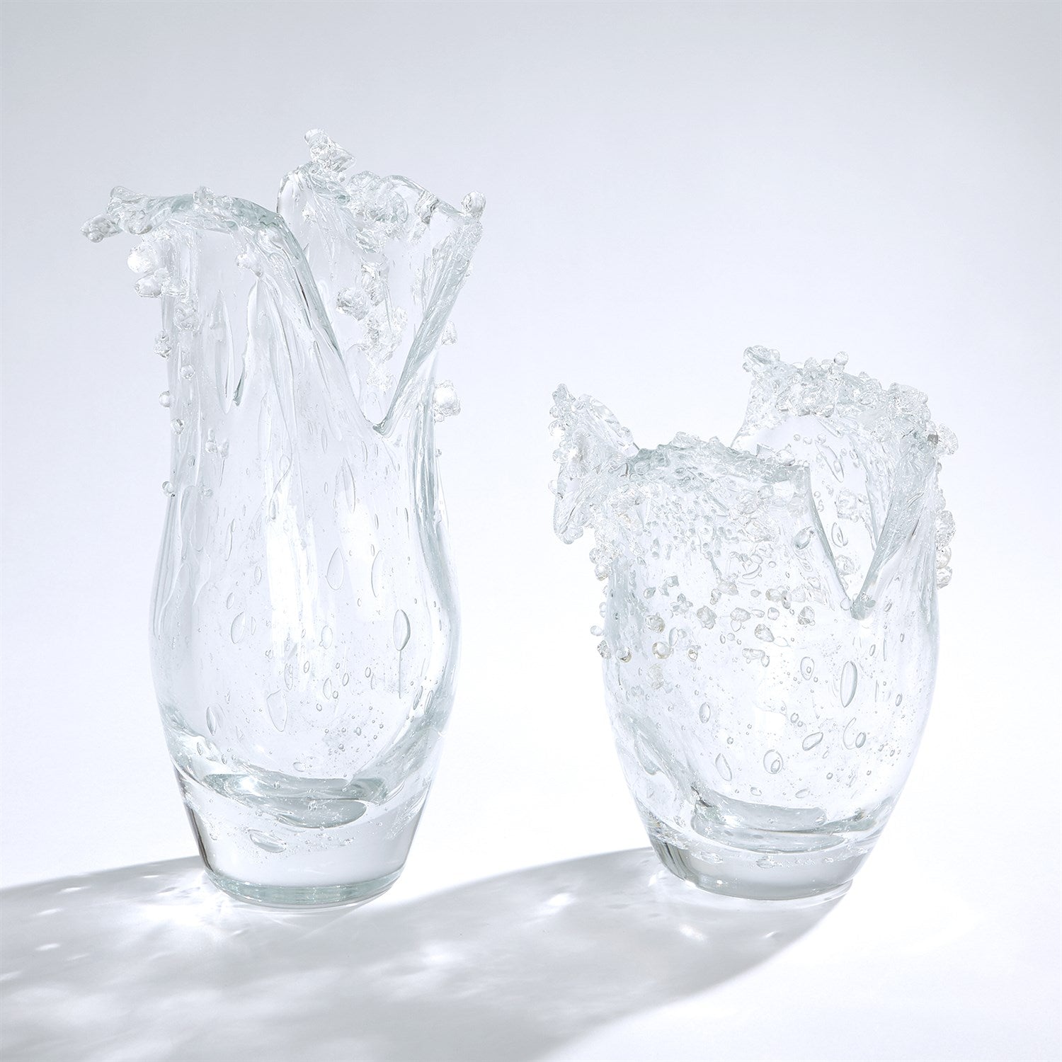 Global Views Clear Dual Wave Bowl Clearance