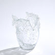 Global Views Clear Dual Wave Bowl Clearance