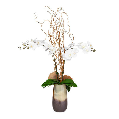 Uttermost Earthbound Orchid With Vase