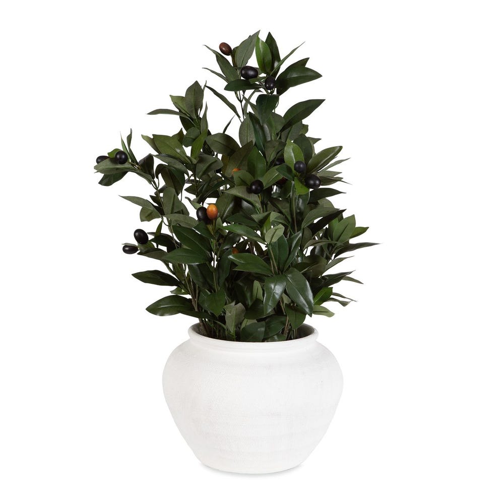 Uttermost Ele Olive Centerpiece