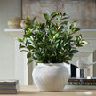 Uttermost Ele Olive Centerpiece