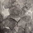 Wildwood Bolle Gray Lamp